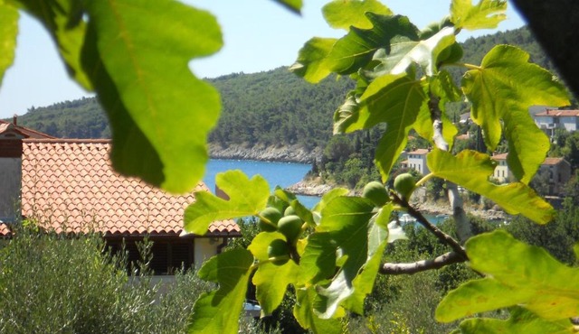 Apartments Ida Sveta Marina