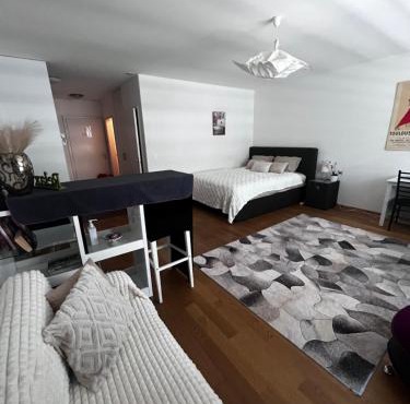 Apartments in Bern - Green Relax