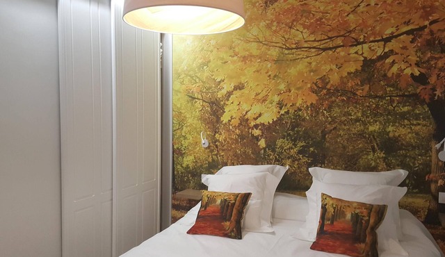 APARTMENTS IN THE CENTER OF EZCARAY, LA RIOJA, WITH HOTEL SERVICE