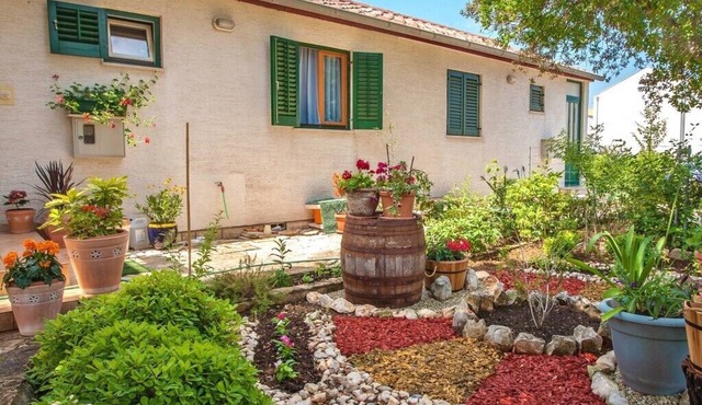 Apartments Irena, (14990), Petrcane, hr