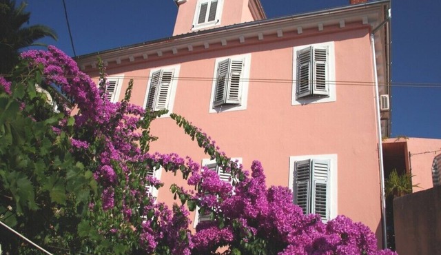 Apartments Ivan, (13921), Mali Lošinj, hr