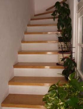 Apartments Jakova Dudana 10