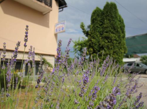 Apartments Jančić
