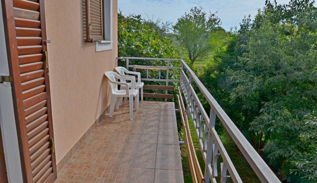 Apartments Josip (70521-A1) - Pavicini