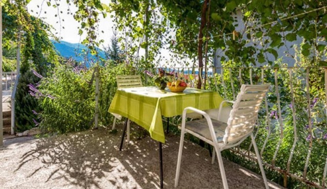 Apartments Klis -Studio Apartment with Terrace - 2 (D)