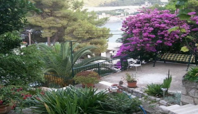 Apartments Laura Mljet - Comfort One Bedroom Apartment with Balcony and Sea View