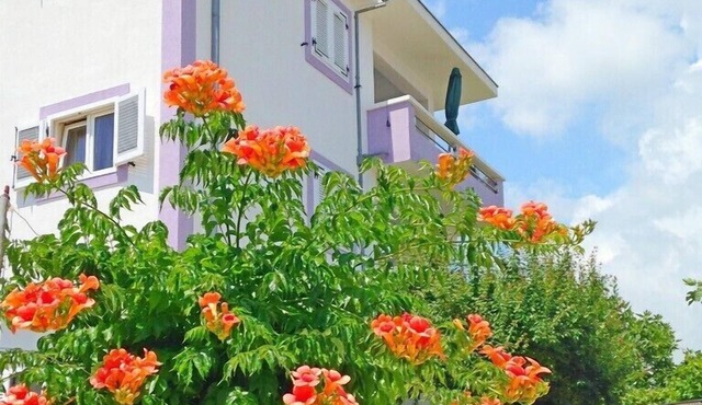 Apartments Ljiljana, (14587), Vinišce, hr
