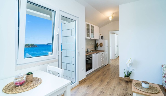 Apartments Lovro - One bedroom apartment with Balcony and Sea View