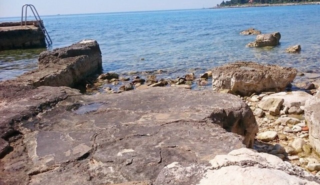 Apartments Majda, (15047), Umag, hr