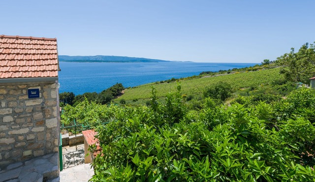 Apartments Nada (97951-A3) - Bol - island Brac