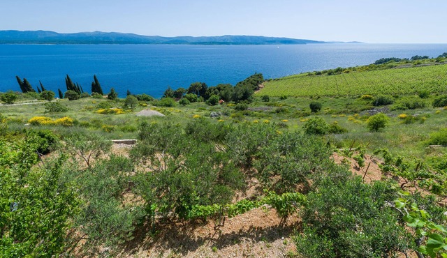 Apartments Nada (97951-A4) - Bol - island Brac