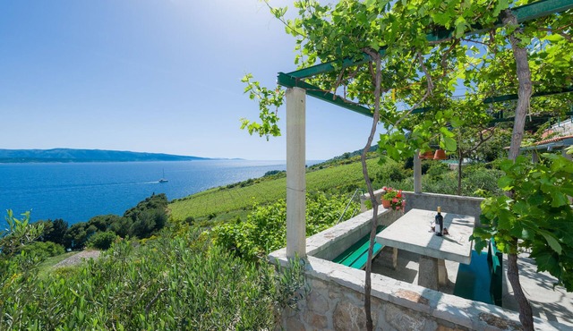 Apartments Nada (97951-A6) - Bol - island Brac