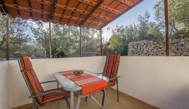 Apartments Oliva (10981-A3) - Maslinica