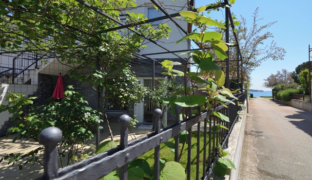 Apartments Pintar