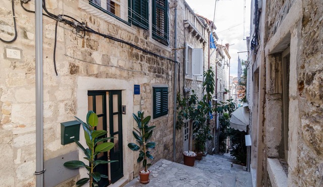 Apartments Raic