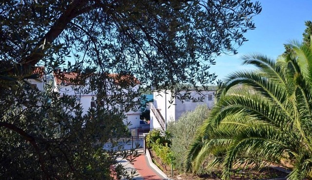 Apartments Rosanda (20441-A2) - Pirovac