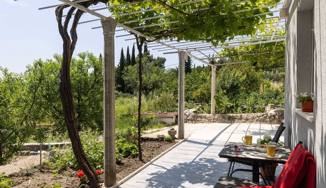 Apartments Roza
