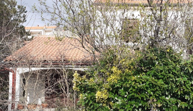 Apartments Rudi