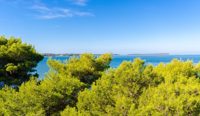 Apartments Stanislava (75611-A2) - Fazana