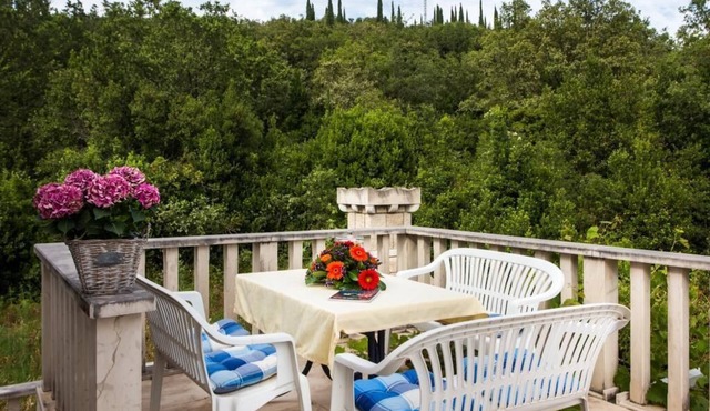 Apartments Villa Maslina - Two Bedroom Apartment with Terrace and Garden View