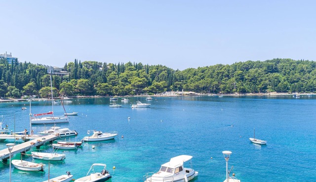 Apartments Villa Royale - Studio Apartment with Sea View