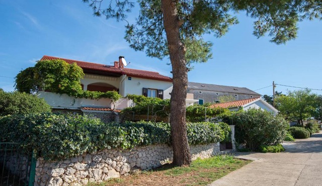 Apartments with parking space Molat - 6249