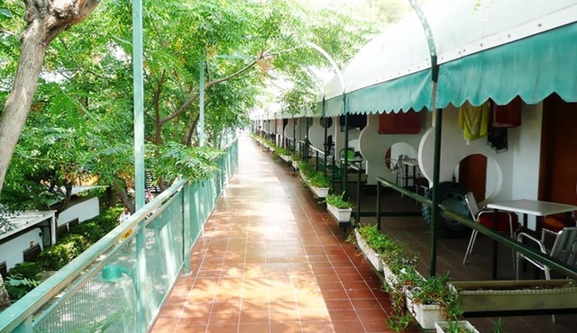 APCOSTAS Camping Playa y Fiesta/One Bedroom