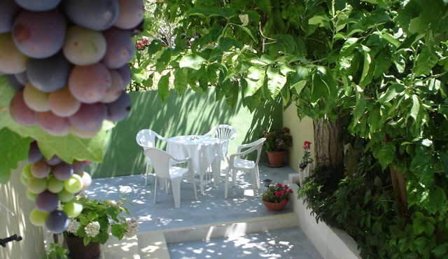 app. Gillardino with Terrace