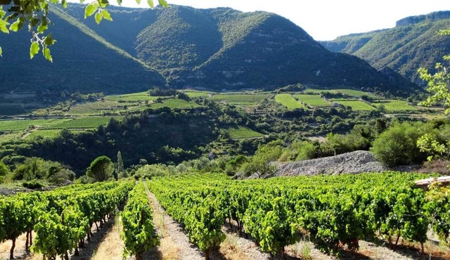 Appartement Spacieux et Confortable au Sein D'un Village Plein de Charme!