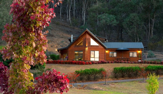 Appalachian High-Country Retreat - Pet Friendly Countryside Escape