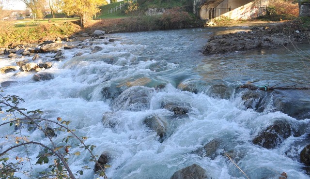 APPALOOSA' (ministerial classification) quiet T2 apartment Tarbes near downtown