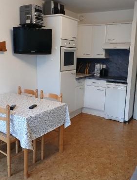 Appar T2 3 lits vue montagne terrasse vielle aure