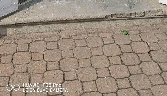 Apparemment au Rez-de-chaussée D'une Maison de Maître