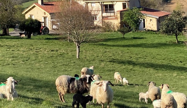 Appart. 1 bedroom in idyllic setting 10 km from Marciac Breakfast included