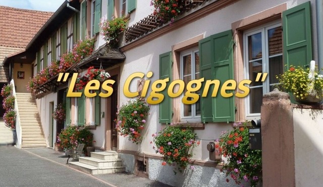 Appart. 2 rooms "Les Cigognes" near Strasbourg. 3* Furnished Accommodation