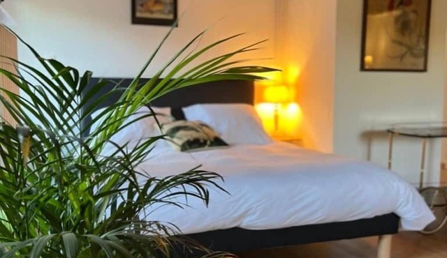 Appart 6, sous-combles