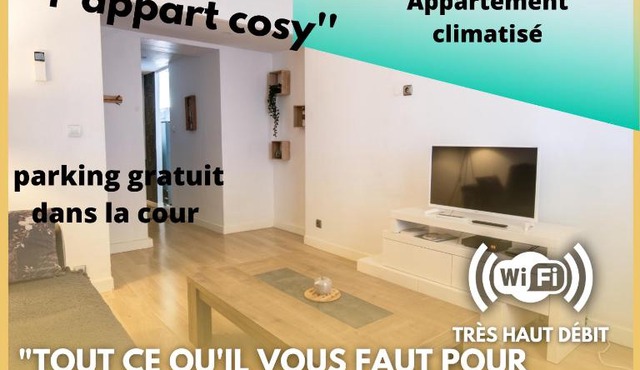 appart cosy,calme à 2 pas du centre de montbrison