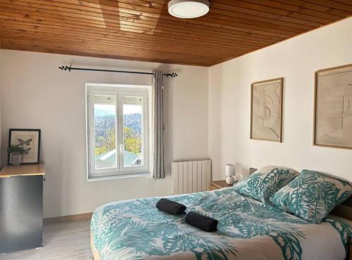 Appart cosy vue montagne, nature & ski à proximité