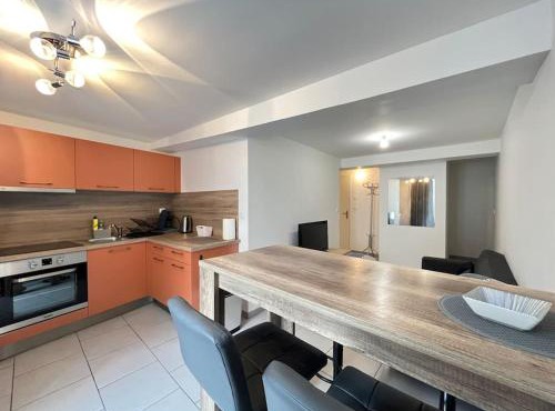 Appart du Bourg 2 chambres Olivet Centre