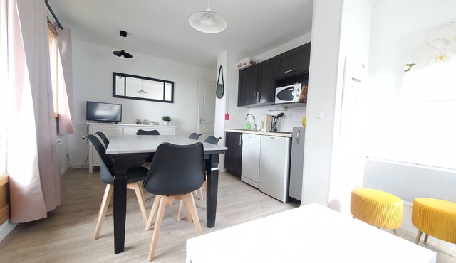 Appartement design avec vue sur le Sancy C41