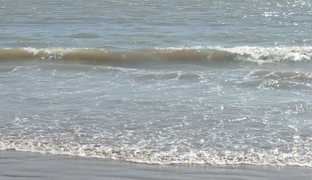 Appart Studio 4 Pers Montpellier de Medillan/royan