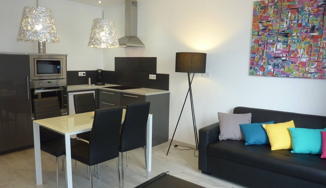 Appart furnished Thermal Design 250m from Thermes de Vittel