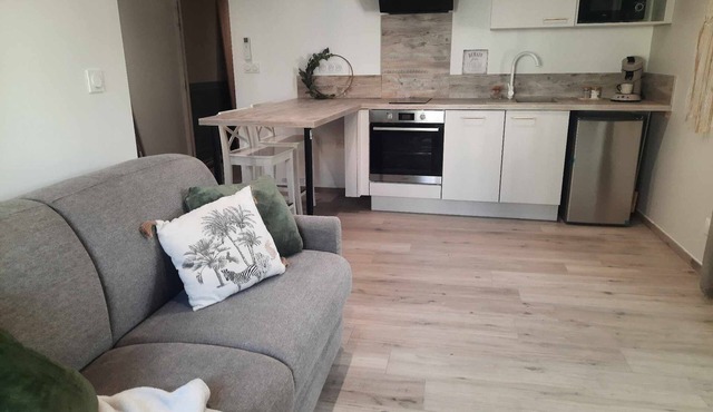 Appart' Hôtel avec terrasse, Clim, TV connectée