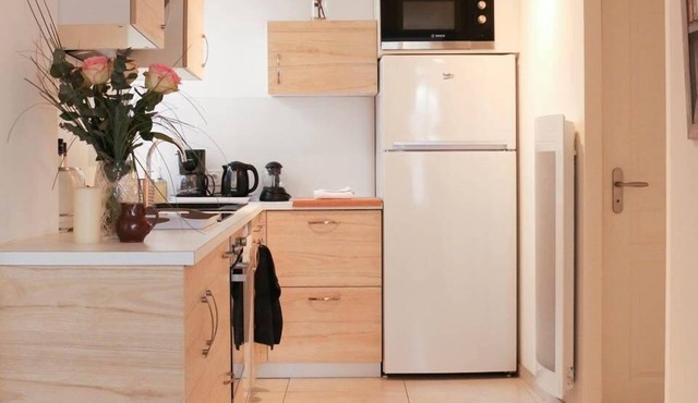 appart-hotel - 12 people