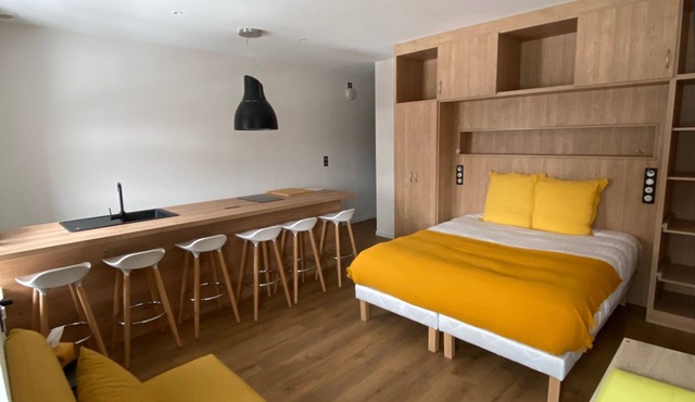 Appart'hôtel (view of Lac Chambon)