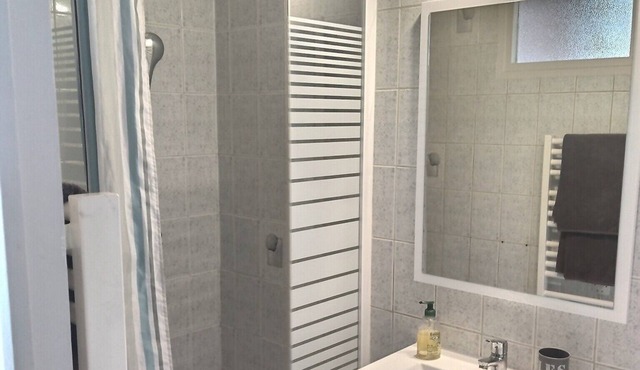 Appart Jules Janin Plein Centre Ville, Wifi Gratuit, Proche Commodités