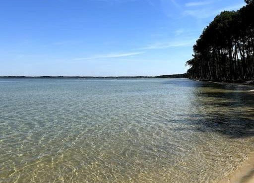 Appart neuf à Sanguinet