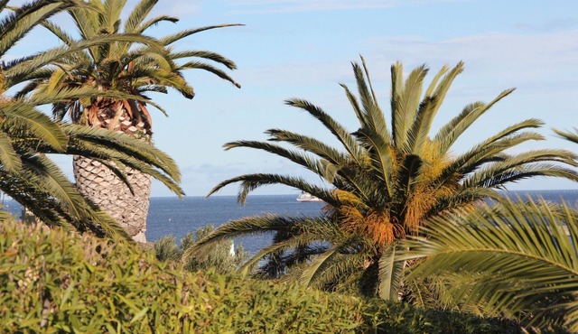 APPART T3 of 55 m2 SEA VIEW 2 BED 2/4/6 PERS, VERANDA, WIFI, GARAGE, 200 m FROM THE PORT