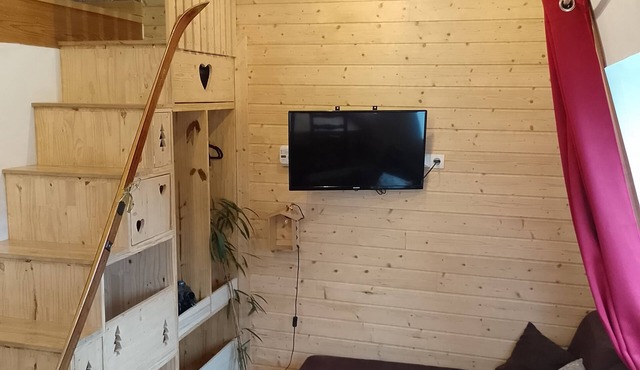 Appartement Chaleureux Station le Lioran