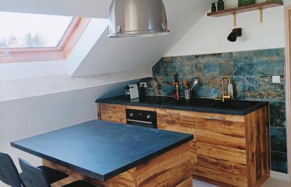 Appartement ! Petit nid entre pistes et lacs!